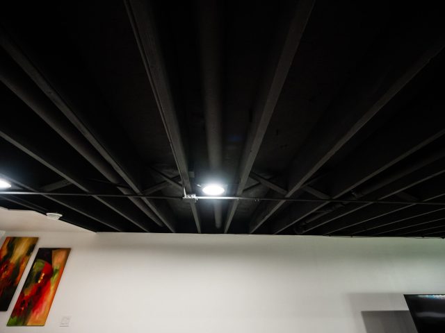 DSC_7320